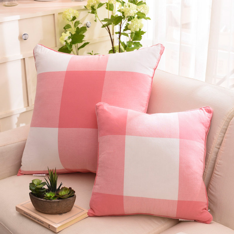 Cojin de Sofa