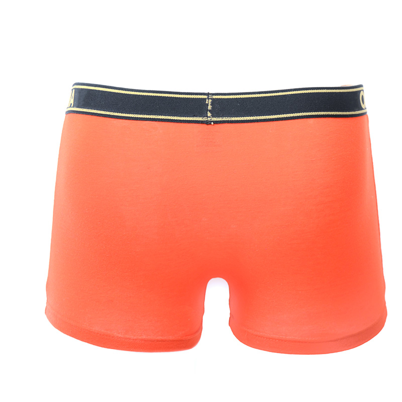Ropa Interior Del Tronco De Los Hombres