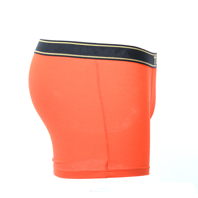 Ropa Interior Del Tronco De Los Hombres